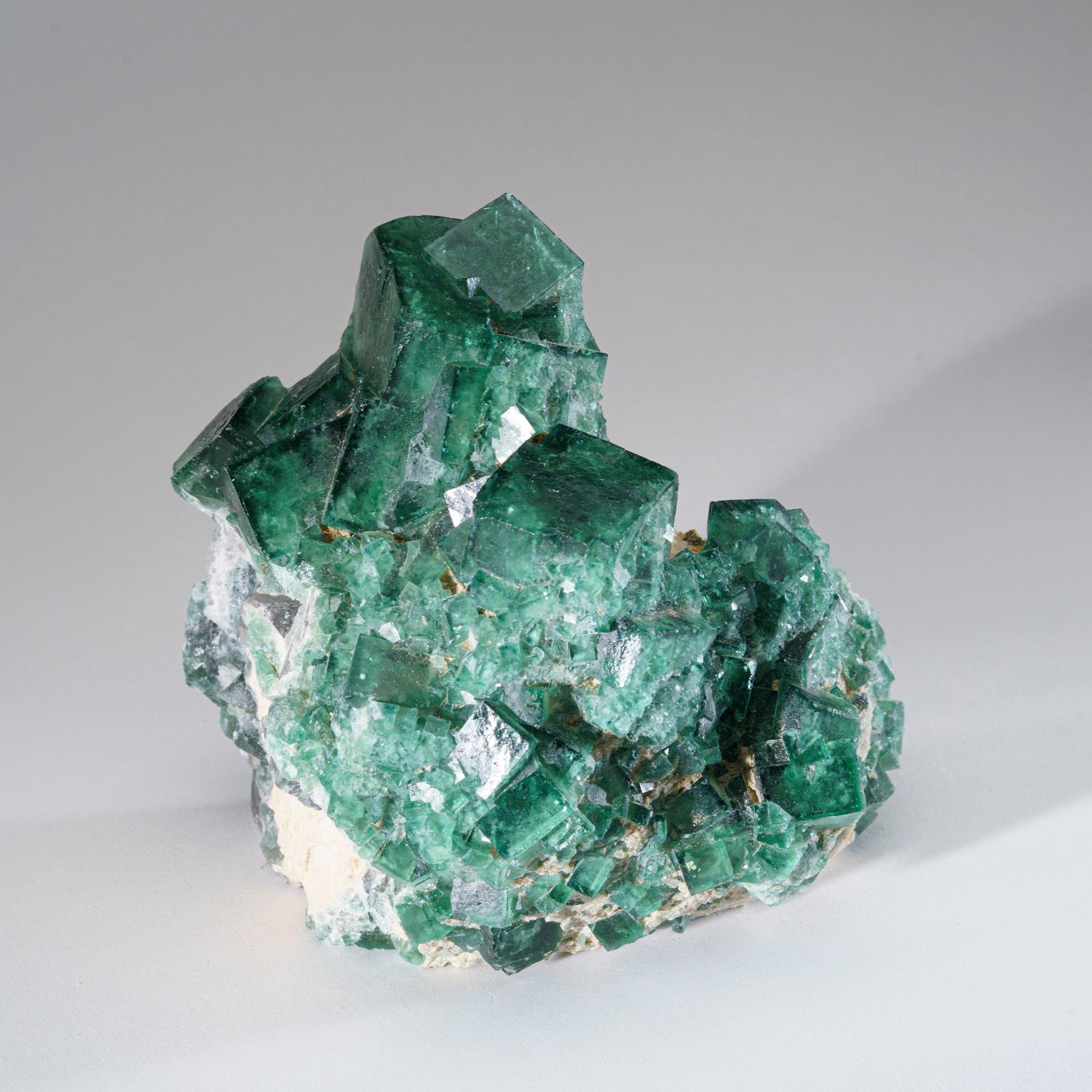 Fluorite verde autentica dalla Namibia (5.1 libbre) In condizioni Nuovo in vendita a New York, NY