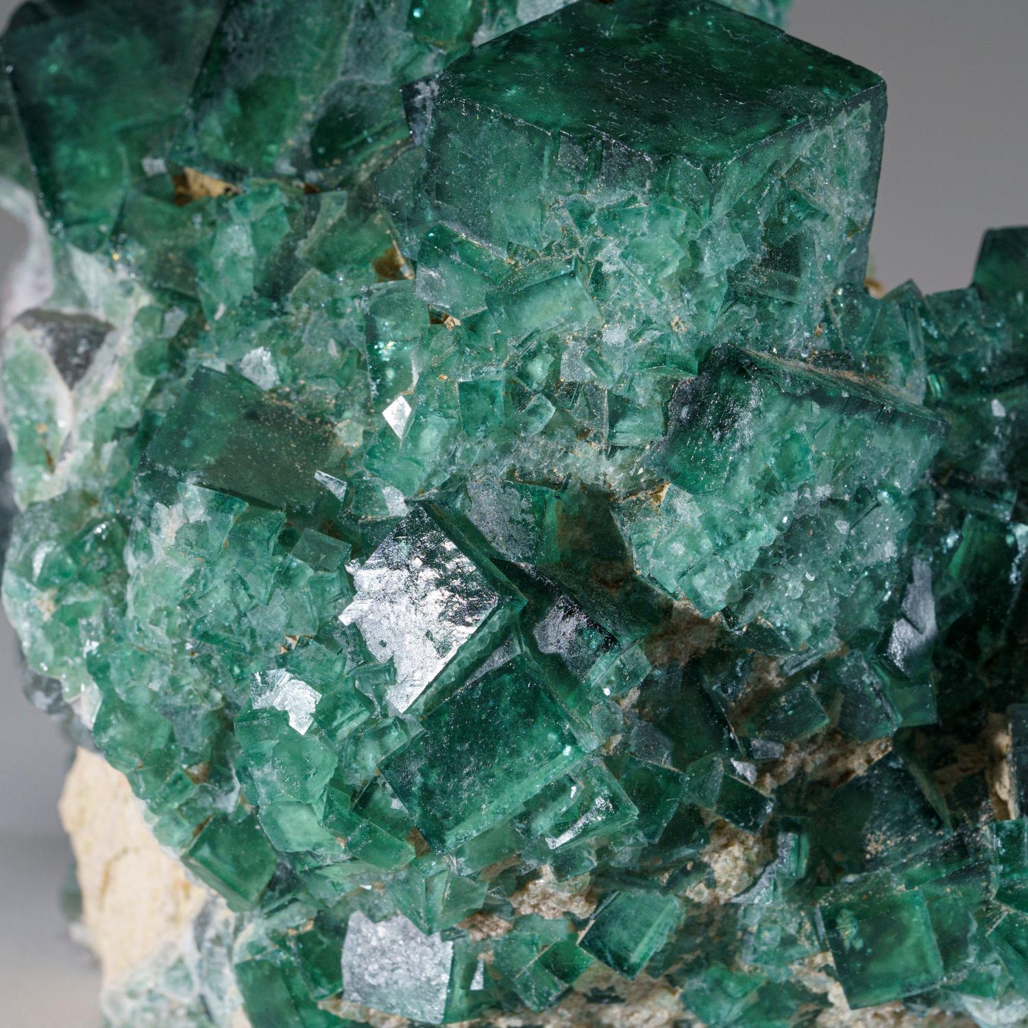 XXI secolo e contemporaneo Fluorite verde autentica dalla Namibia (5.1 libbre) in vendita