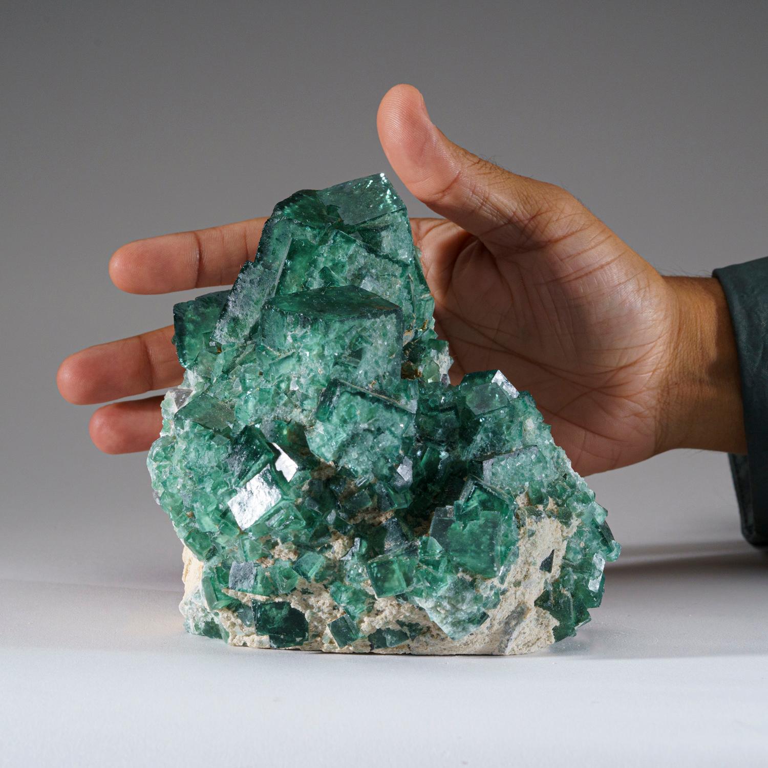 Cristallo Fluorite verde autentica dalla Namibia (5.1 libbre) in vendita