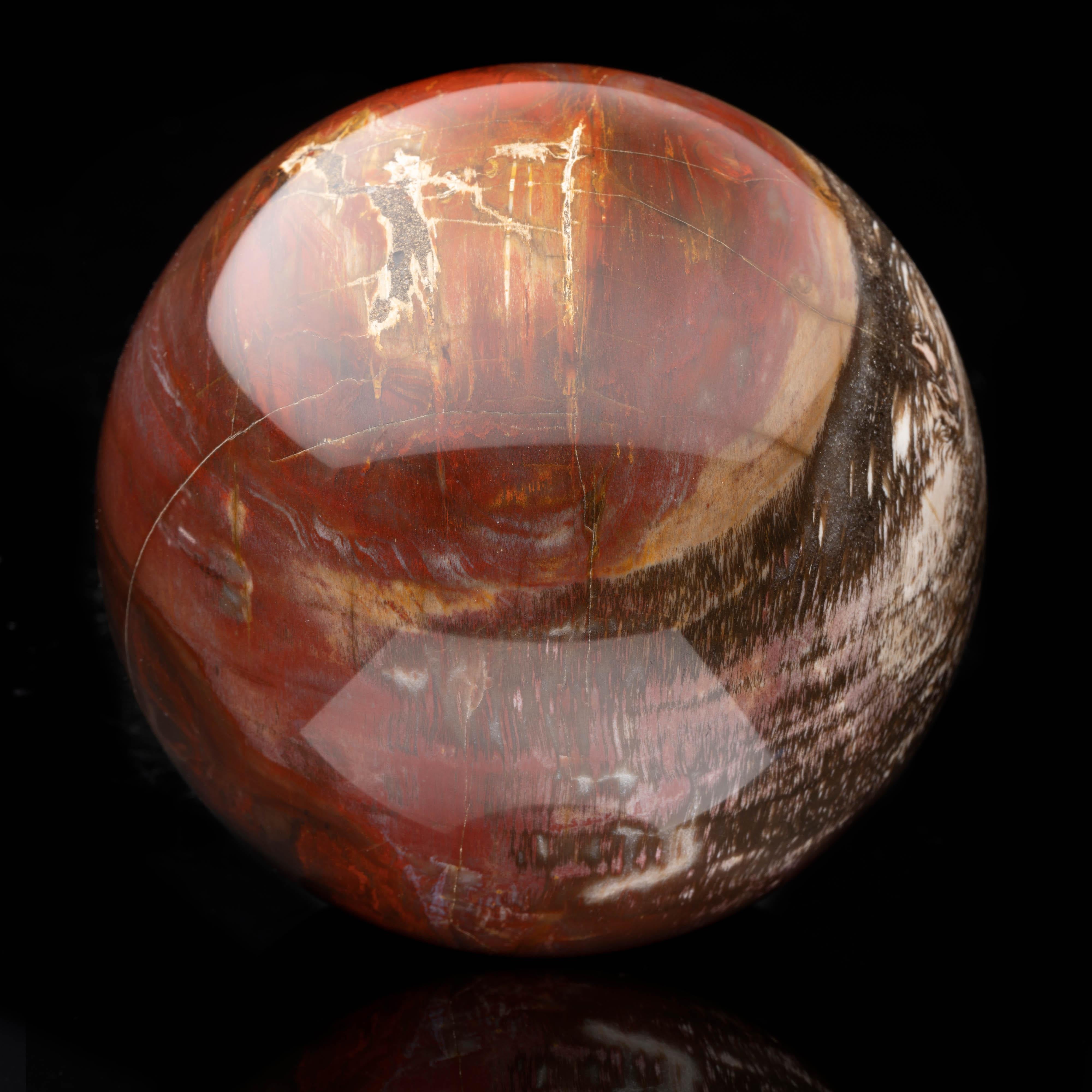 Hand-carved out of one genuine piece of fossilized wood from the famous petrified forests of Arizona, this 3.20-pound over 200 million year-old hand-polished sphere features the rich pigmentation for which this location is known. Featuring