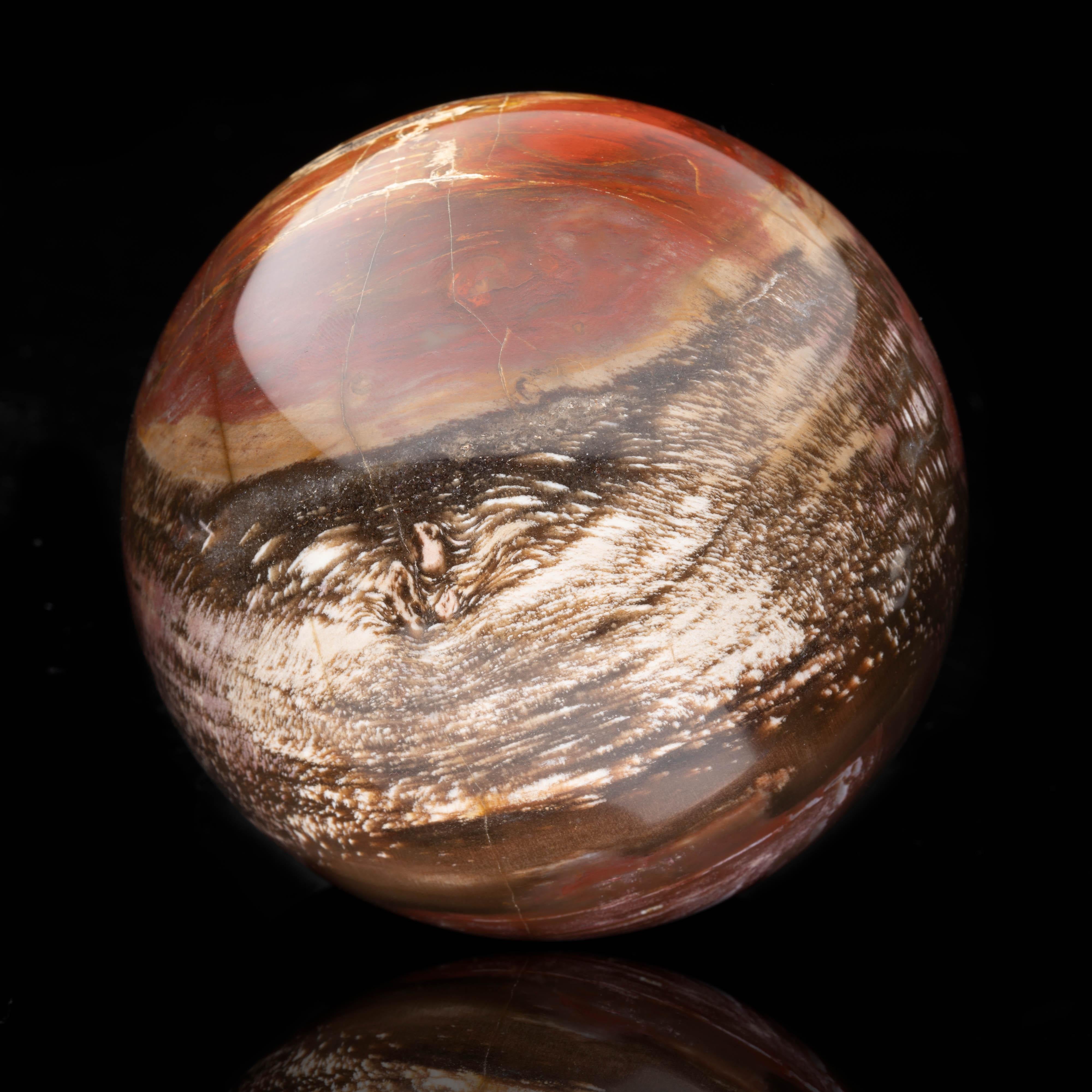American Genuine Hand-Carved Petrified Wood Sphere from Arizona // 3.20 Lb