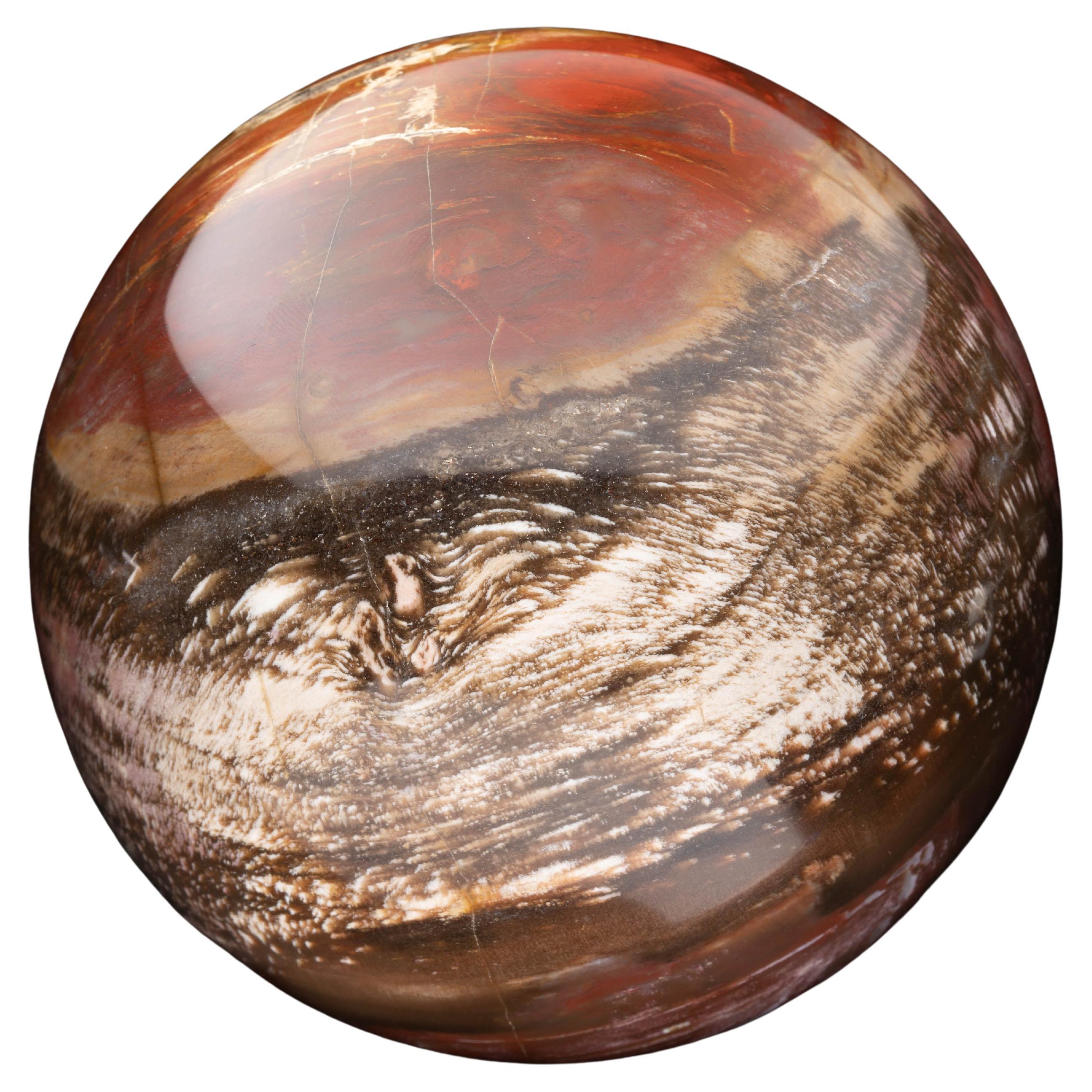 Genuine Hand-Carved Petrified Wood Sphere from Arizona // 3.20 Lb