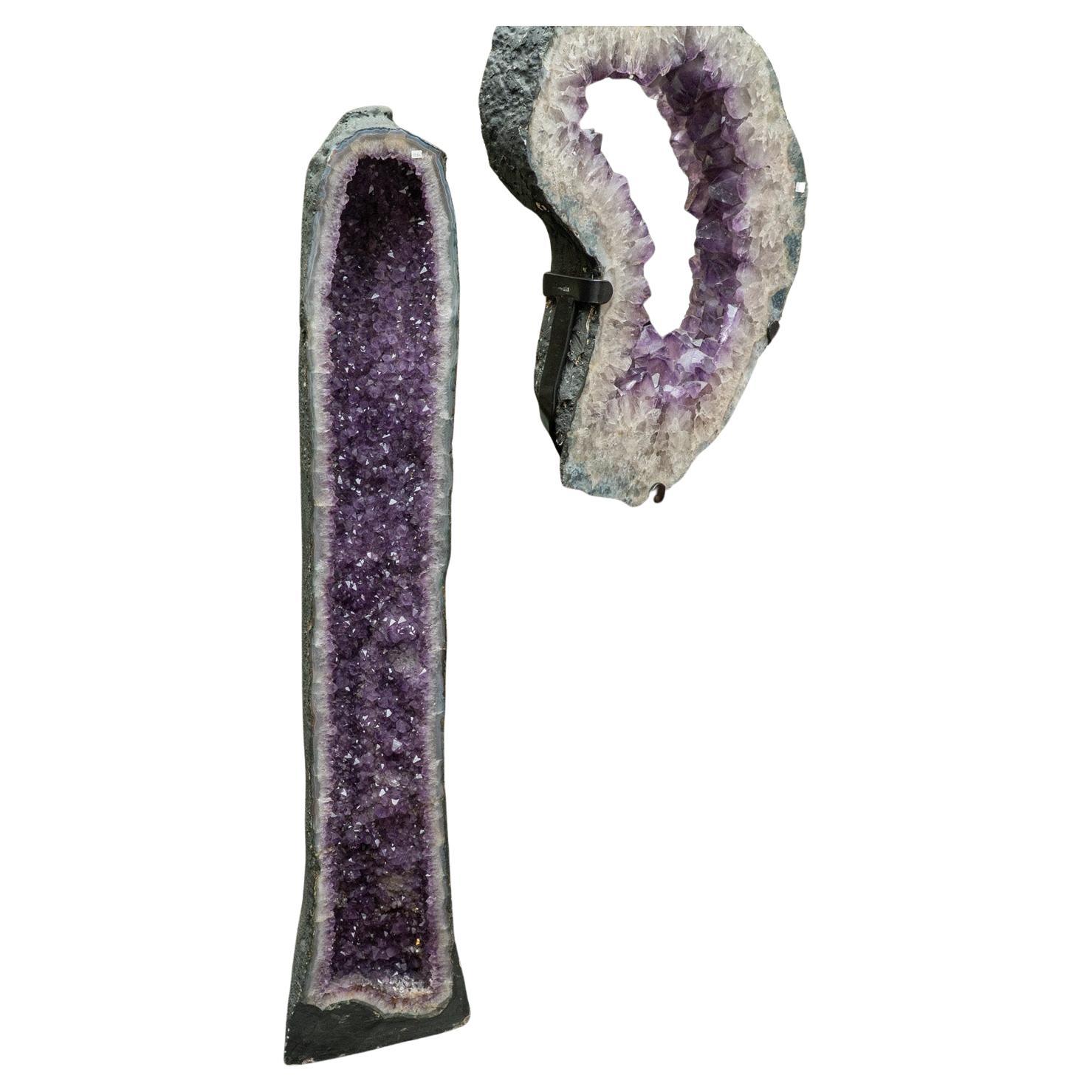 Brasiliano Geode autentico a grappolo di ametista grande 52
