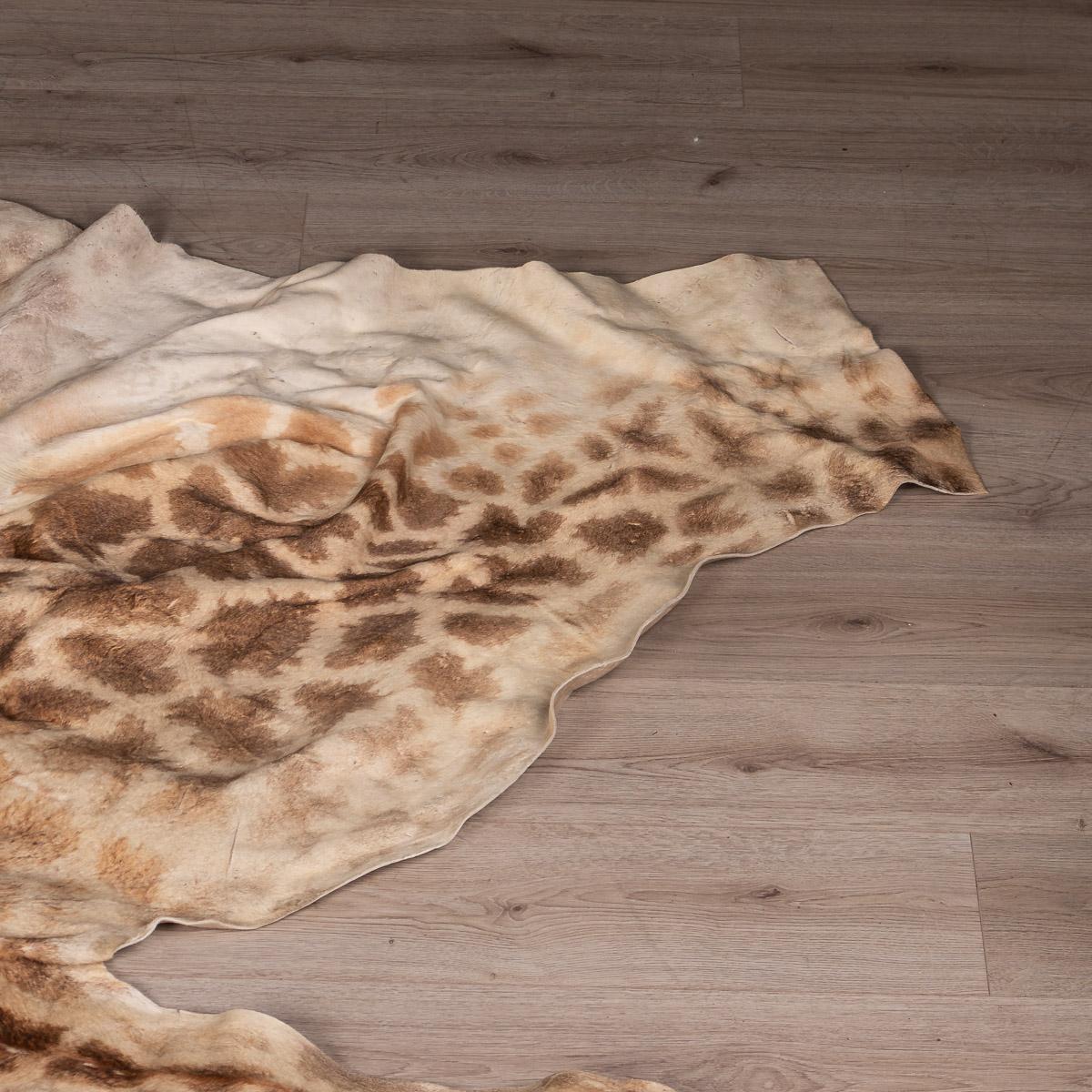 giraffe skin for sale