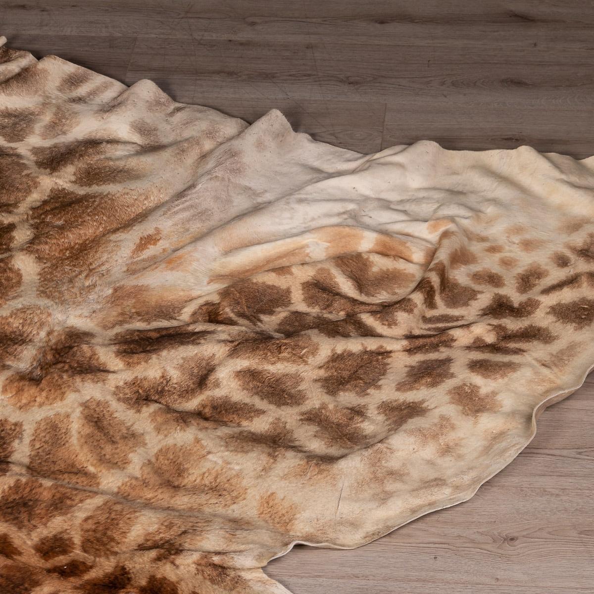 giraffe rug real