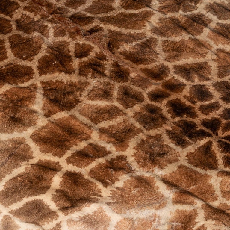 Genuine Large African Giraffe Rug at 1stDibs