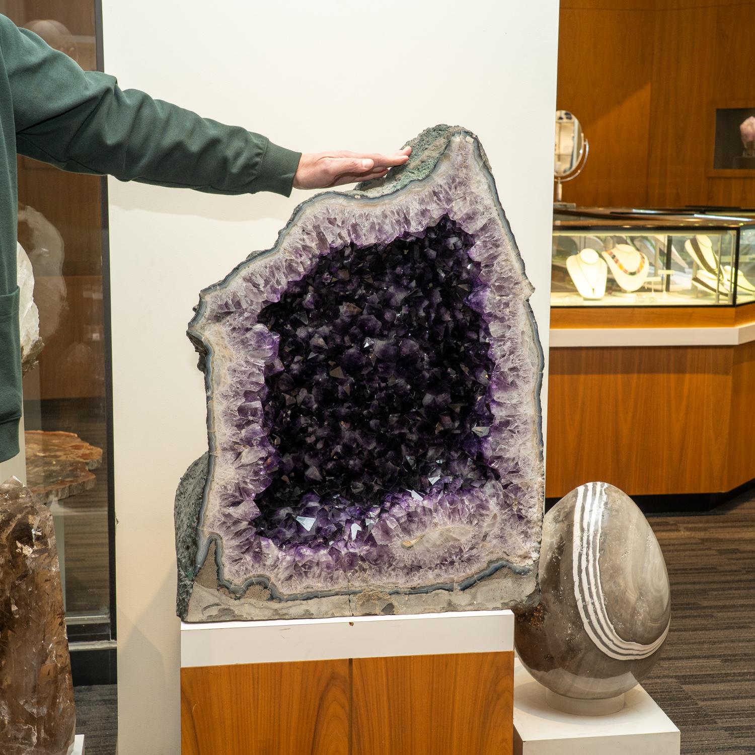 Gran Geoda de Amatista auténtica de Brasil en Nuevo estado para la venta en New York, NY