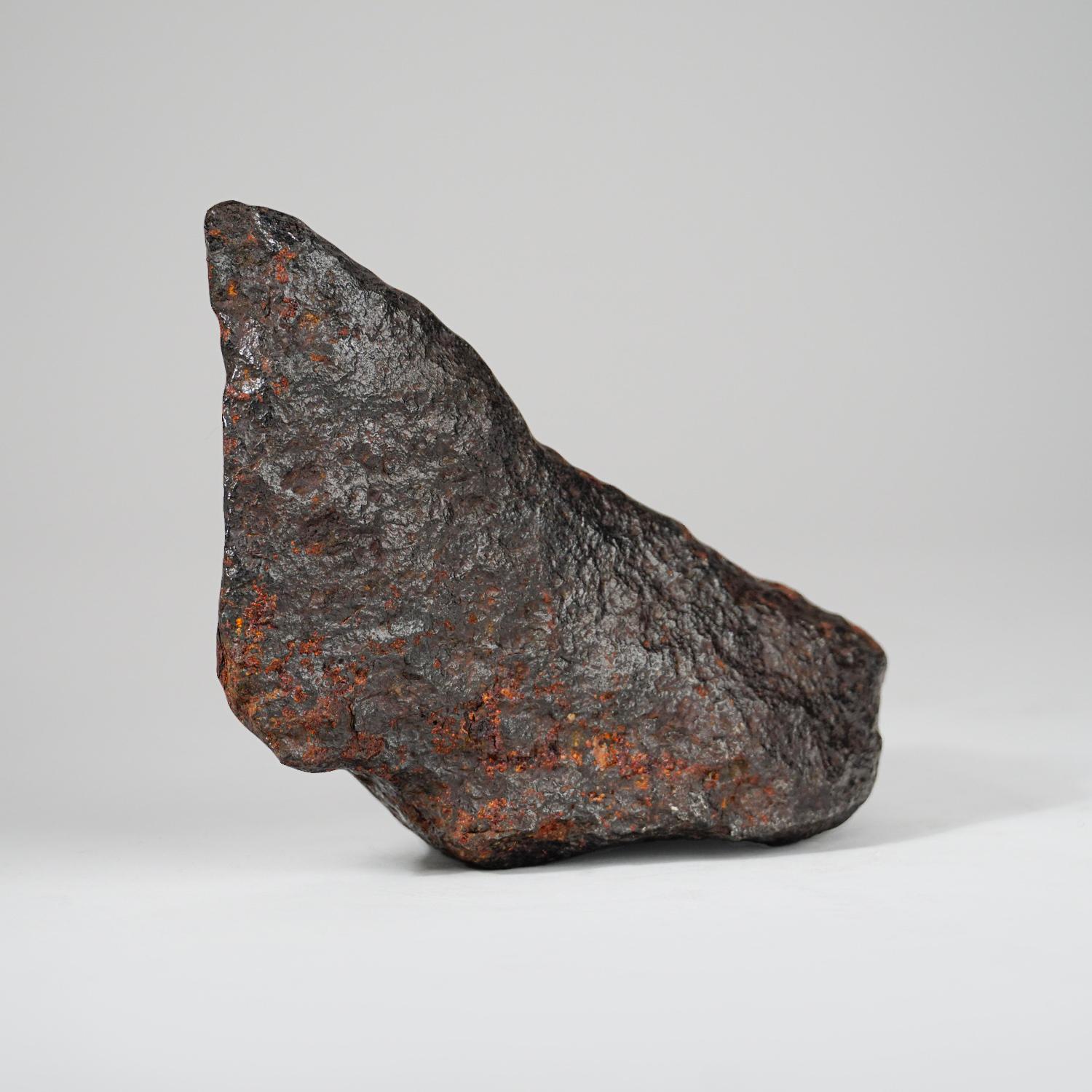 Magnifique grande météorite en fer Diablo Canyon Excellent état - En vente à New York, NY