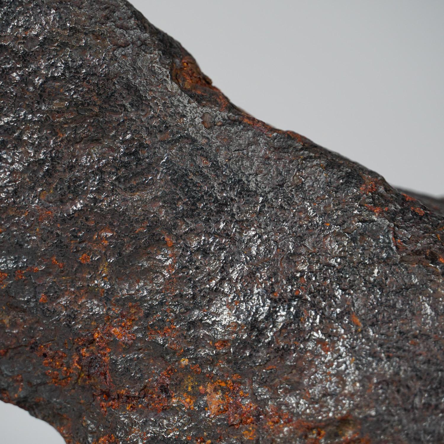 canyon diablo meteorite for sale