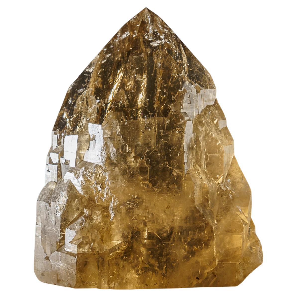 Grande cathédrale authentique pointe en cristal de quartz fumé du Brésil (29 lbs)