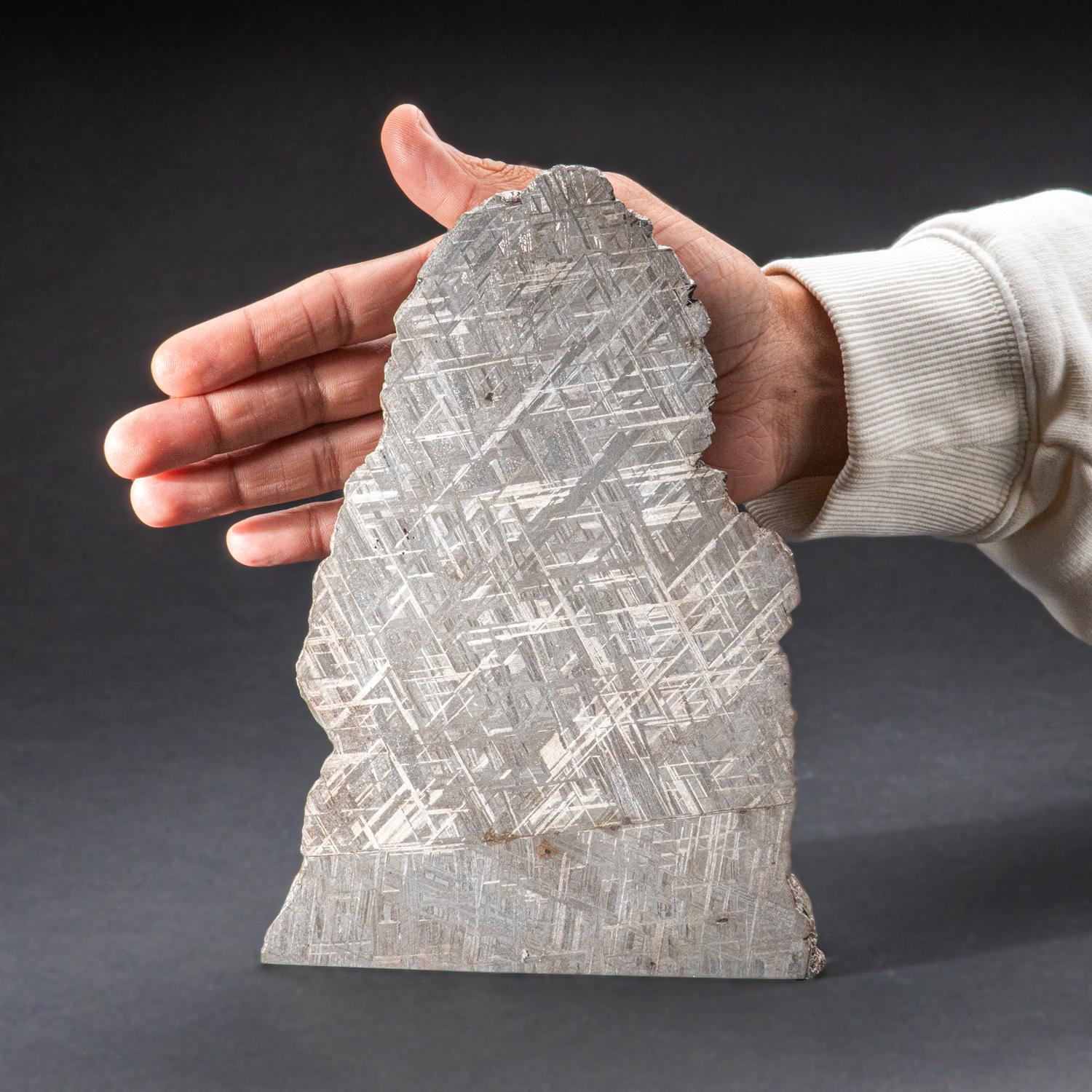 Swedish Genuine Large Muonionalusta Meteorite Slice (12 lbs) For Sale