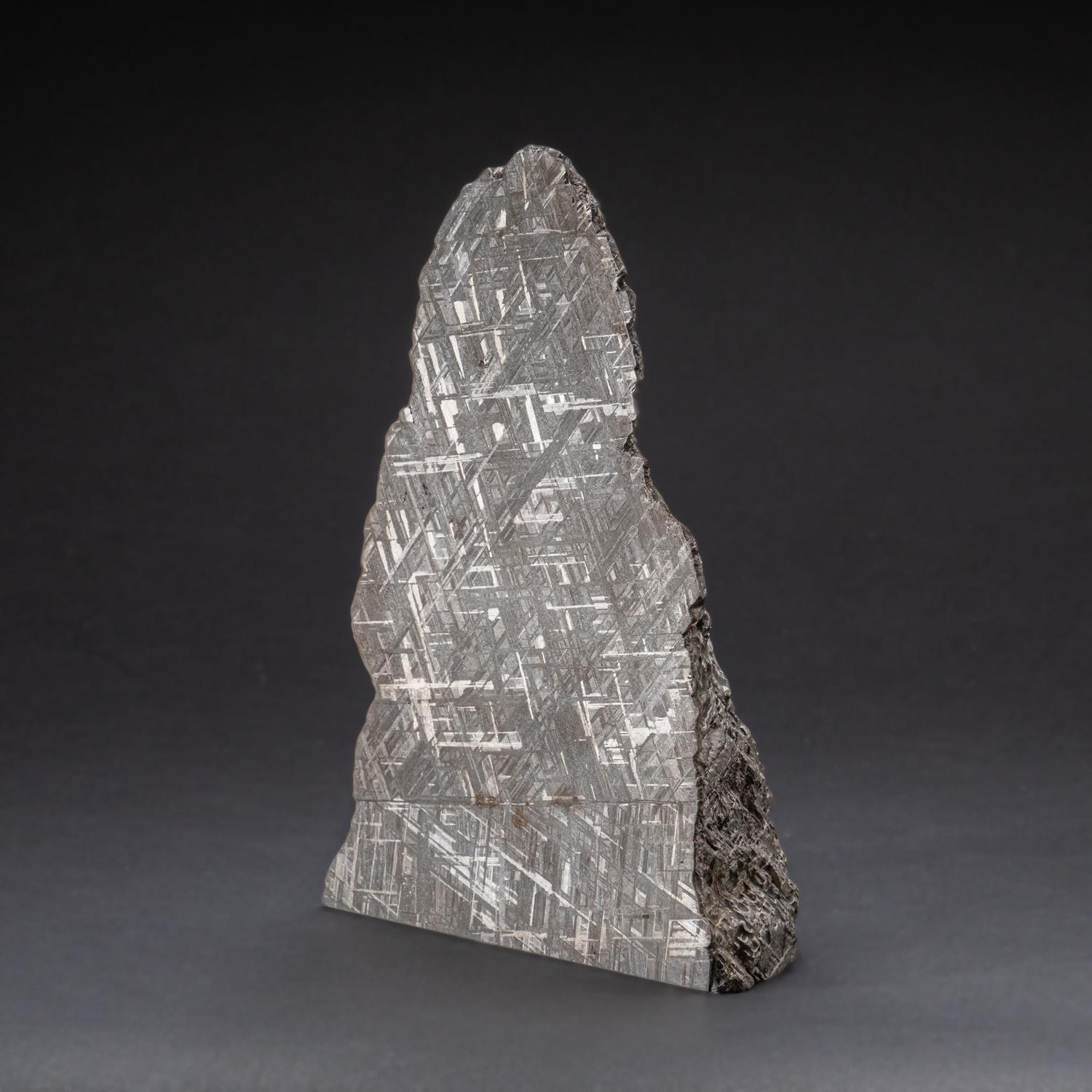 Scandinavian Genuine Large Muonionalusta Meteorite Slice (12 lbs) For Sale
