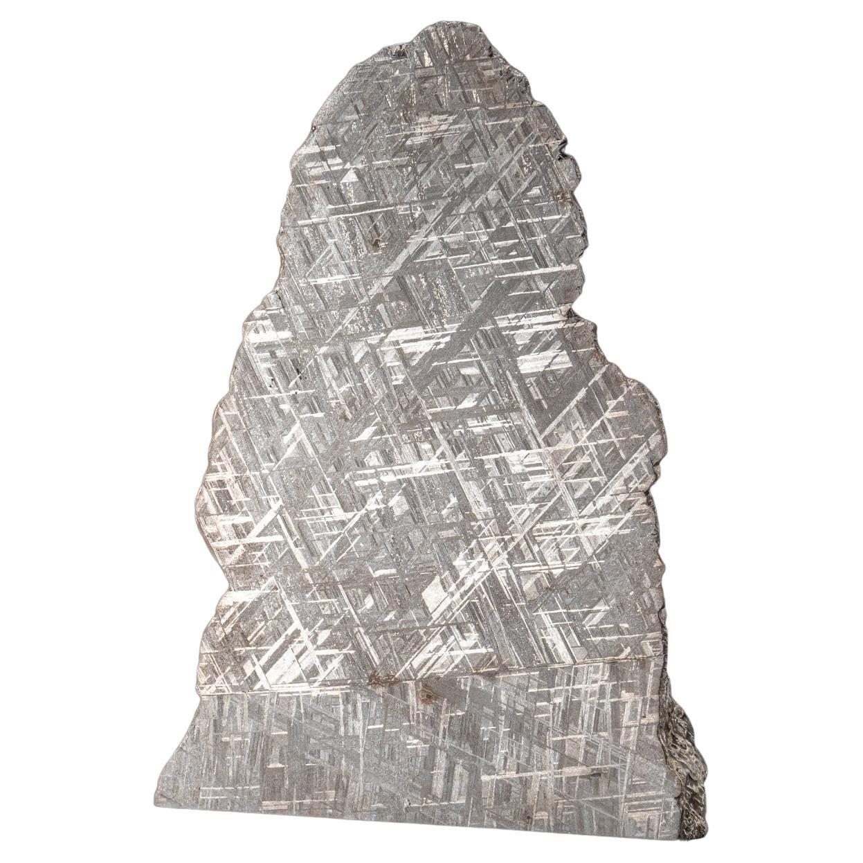 Grande tranche de météorite muonionalusta authentique (12 lbs)