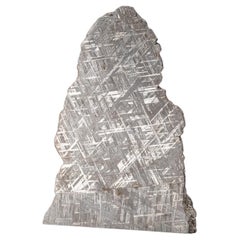 Großer echter Muonionalusta Meteorit-Slice (12 lbs)