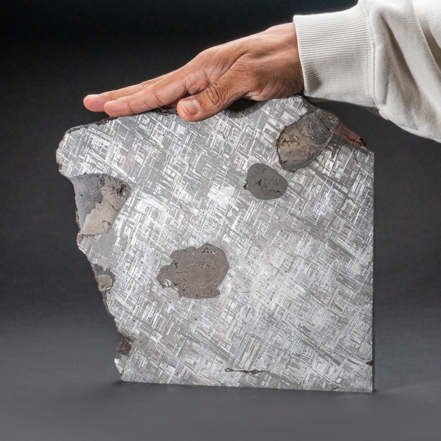 Swedish Genuine Large Muonionalusta Meteorite Slice (14.5 lbs) For Sale
