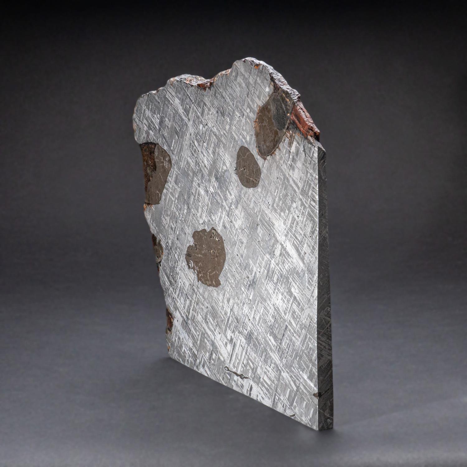 Genuine Large Muonionalusta Meteorite Slice (14.5 lbs) In New Condition For Sale In New York, NY