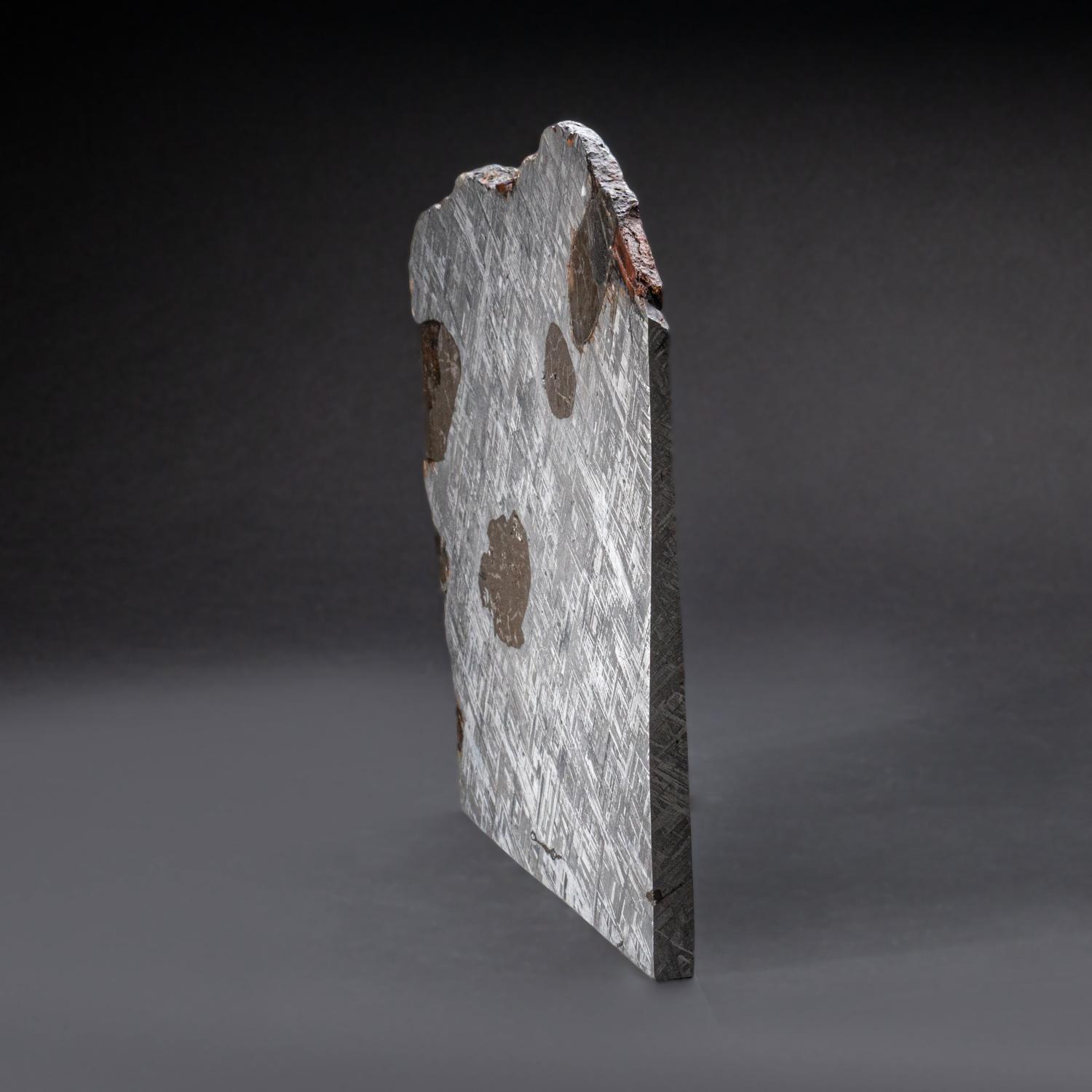 Contemporary Genuine Large Muonionalusta Meteorite Slice (14.5 lbs) For Sale