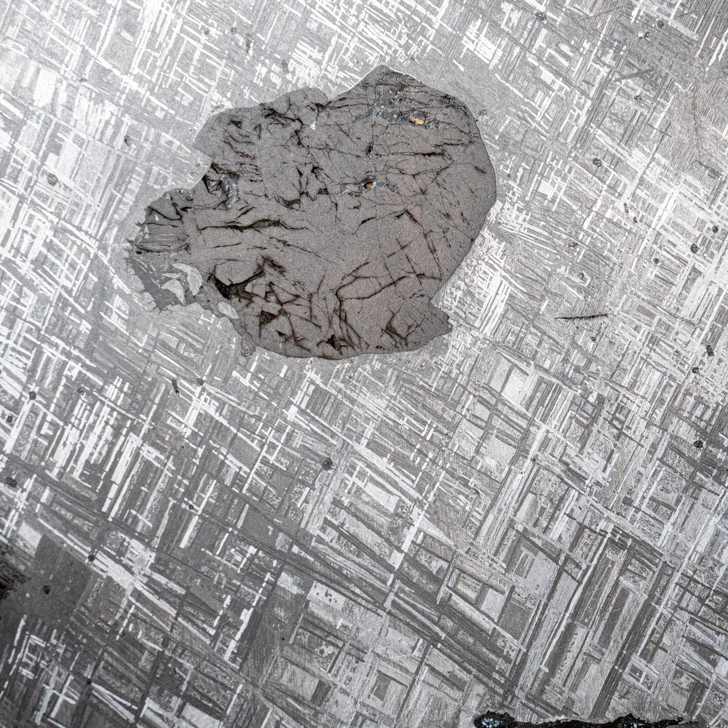 Rock Crystal Genuine Large Muonionalusta Meteorite Slice (14.5 lbs) For Sale