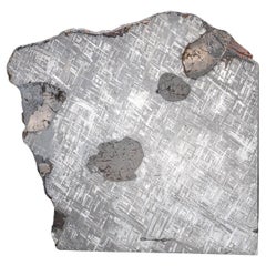 Großer echter Muonionalusta Meteorit-Slice (14.5 lbs)