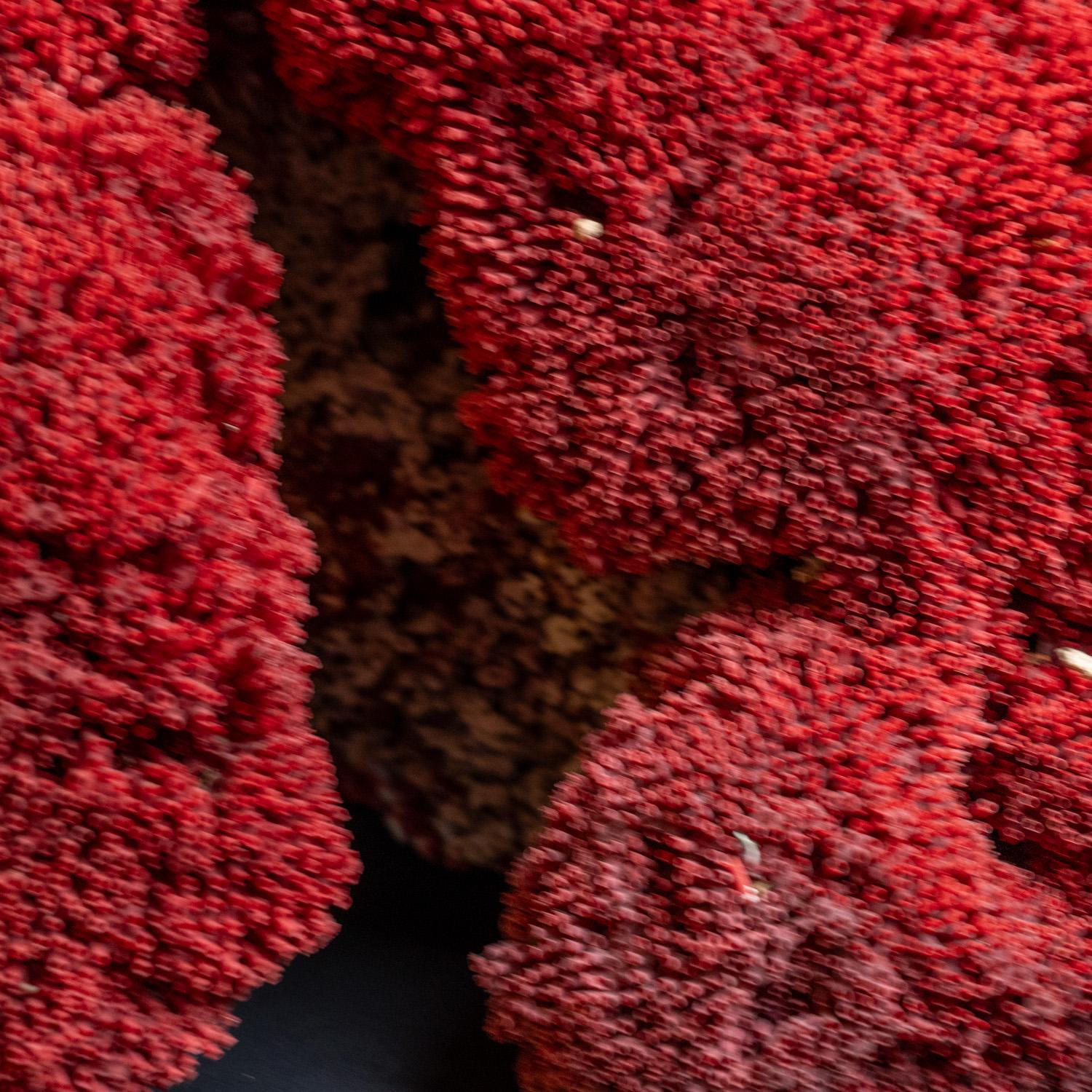 Autre Grand et véritable corail de Pipe Organ rouge (22 lbs) en vente