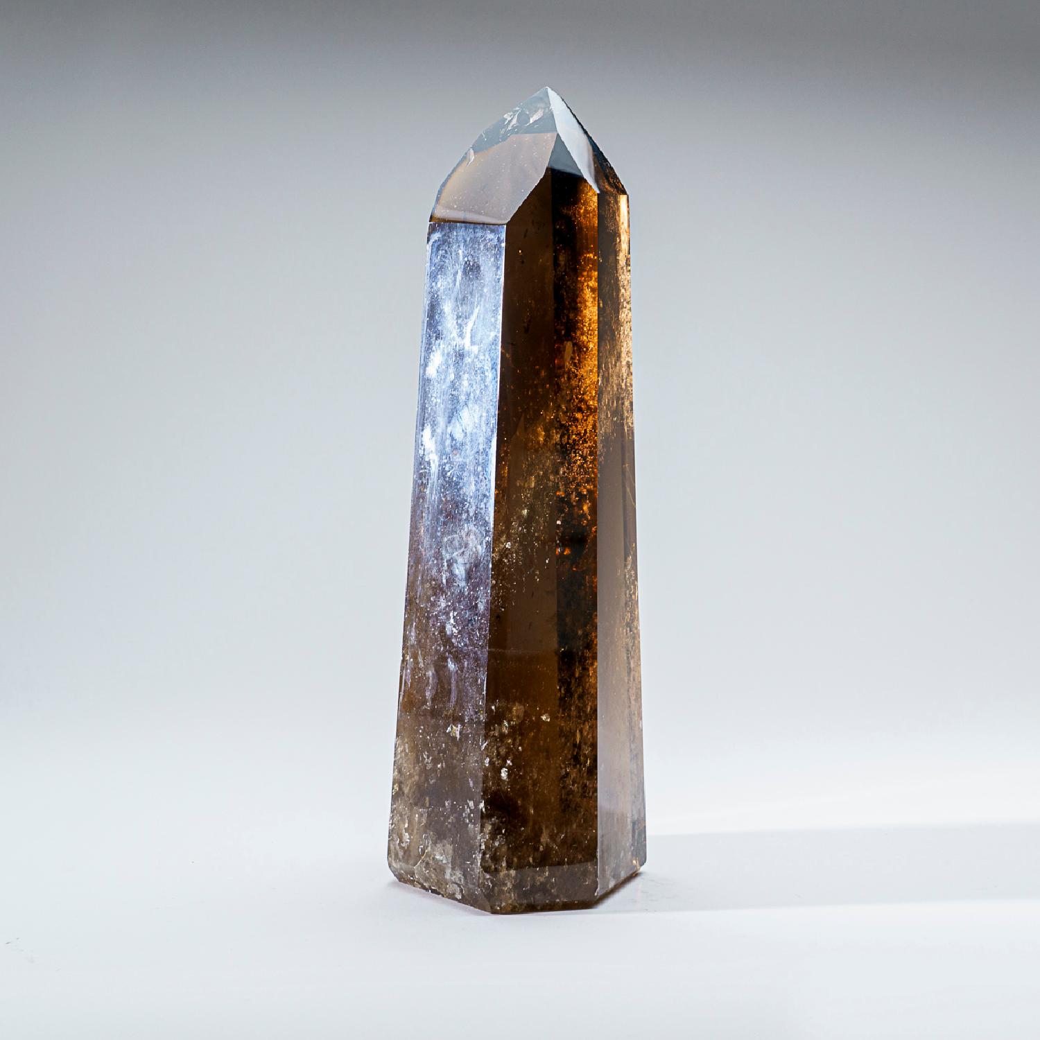 Brazilian Genuine Large Smoky Quartz Crystal Point From Brazil (9.5 lbs) For Sale