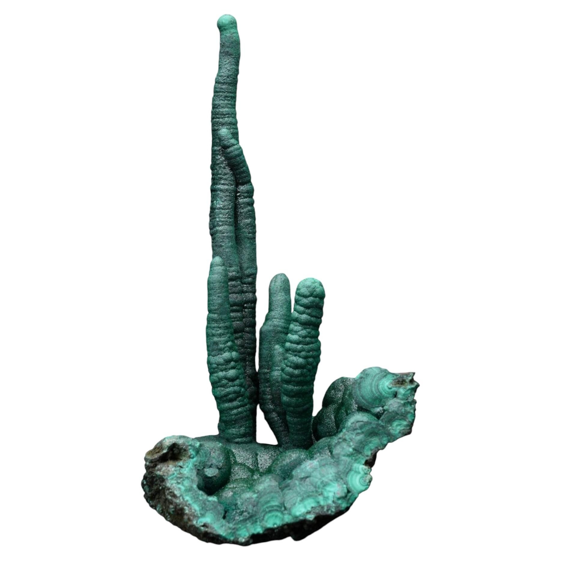 Genuine Malachite Stalactites from the DRC – Vibrant Green Mineral Specimen