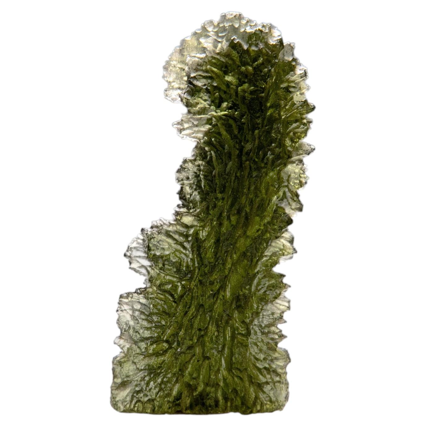 Genuine Moldavite Tektite (16.1 grams)