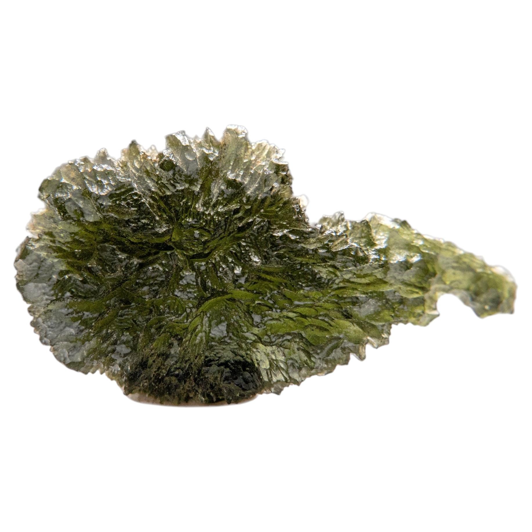 Genuine Moldavite Tektite (18 grams)