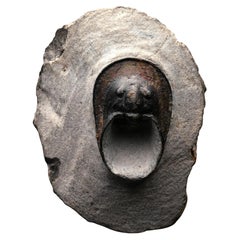 Véritable fossile de trilobite marocain