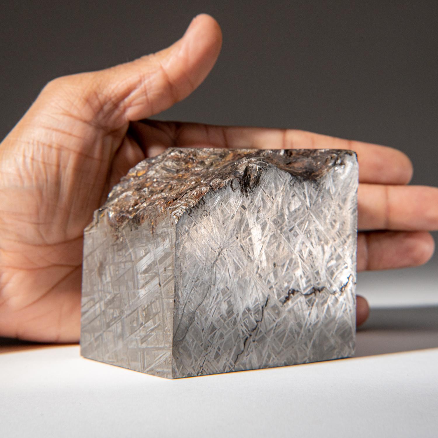 Swedish Genuine Muonionalusta Meteorite (5.5 grams) For Sale