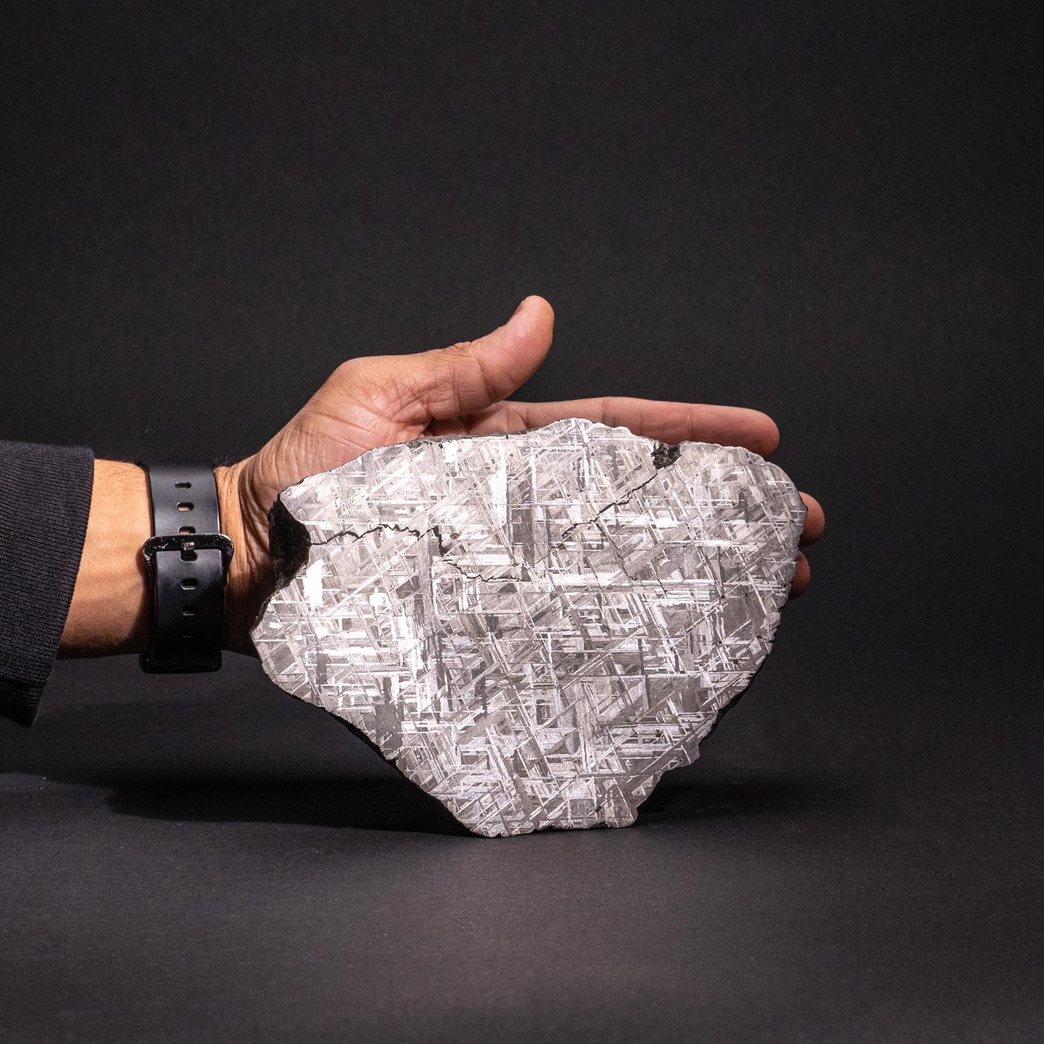 Cette météorite naturelle de Muonionalusta, dont l'une des faces a été tranchée et polie, est une pièce étonnante de l'histoire naturelle. Elle présente le magnifique motif métallique des Widmanstätten. La Muonionalusta est une météorite classée