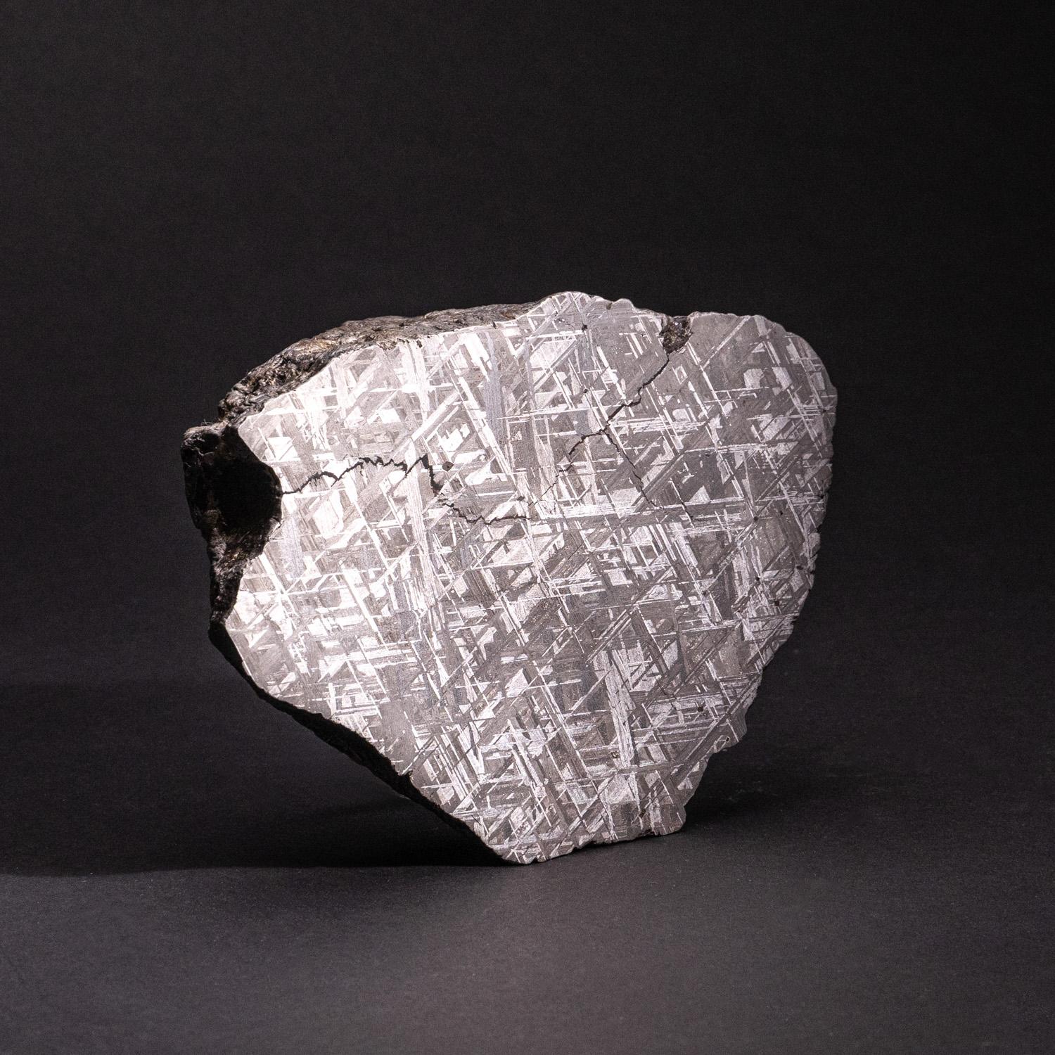 Scandinavian Genuine Muonionalusta Meteorite Slab (7.5 lbs) For Sale
