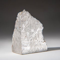 Genuine Muonionalusta Meteorite Slice (1.15 lbs)