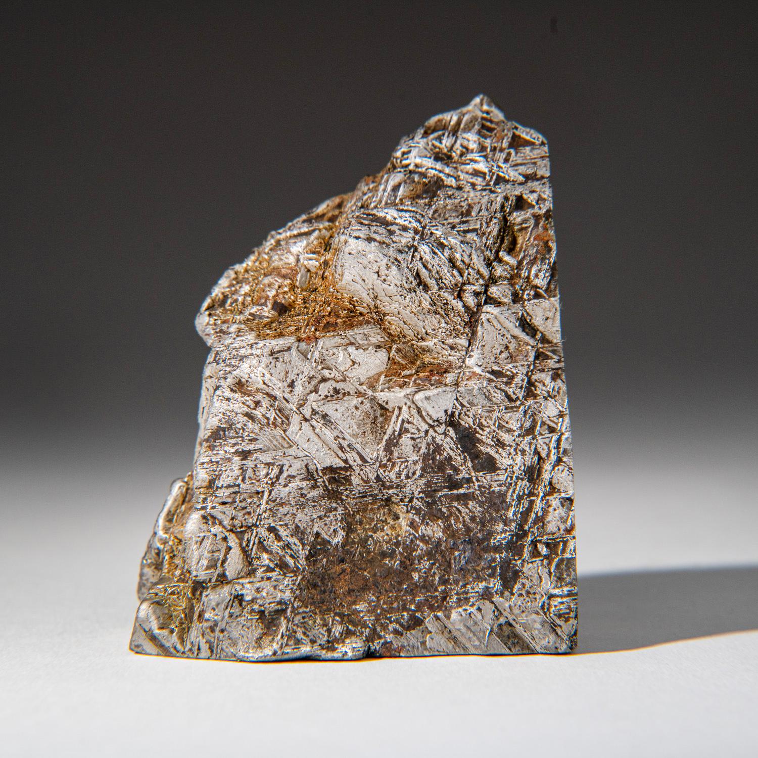 Genuine Muonionalusta Meteorite Slice (1.15 lbs) In New Condition For Sale In New York, NY