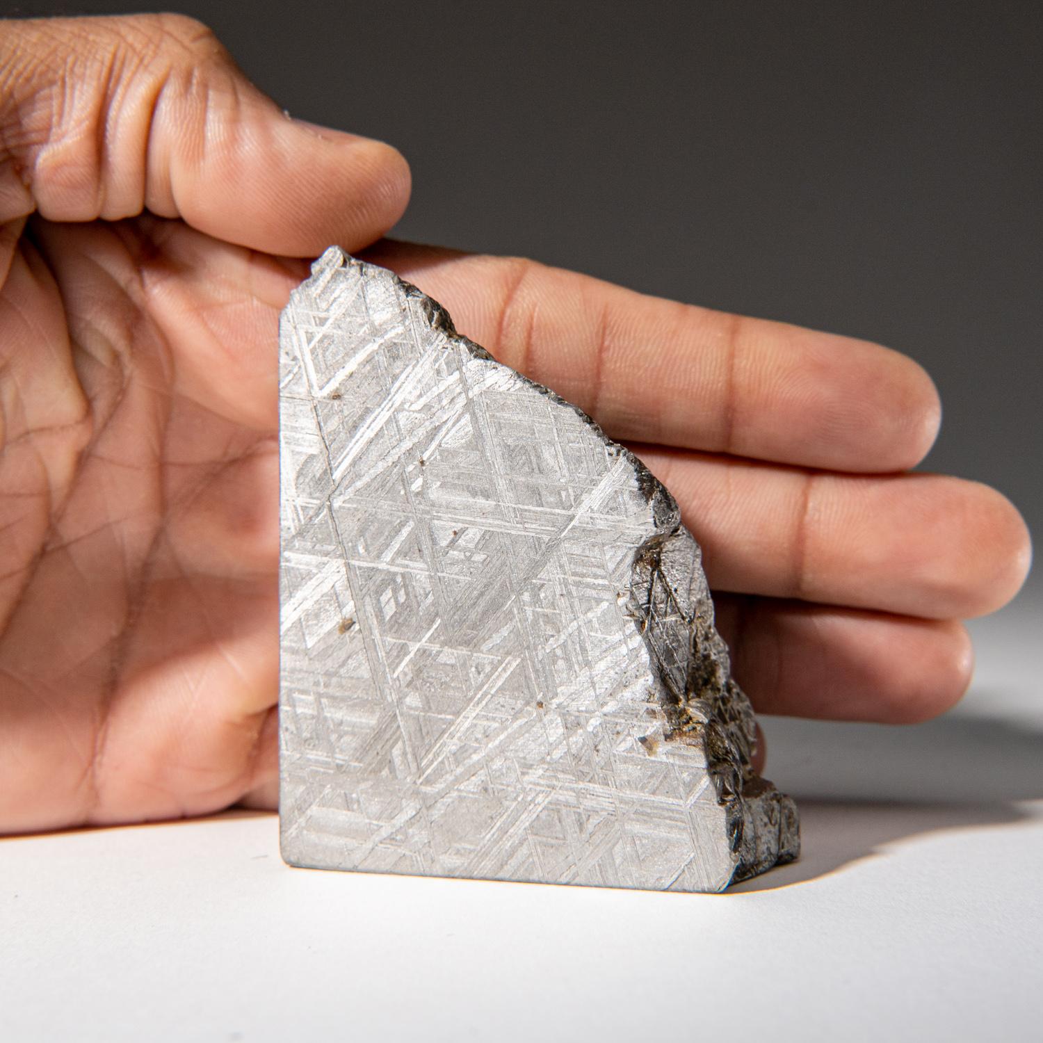 Rock Crystal Genuine Muonionalusta Meteorite Slice (1.15 lbs) For Sale