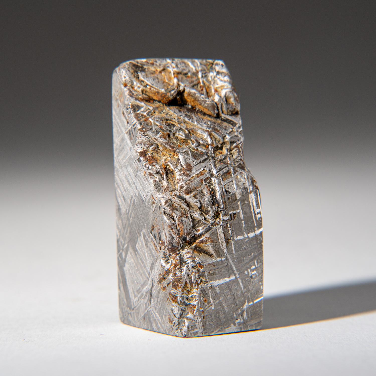 iron meteorite slice
