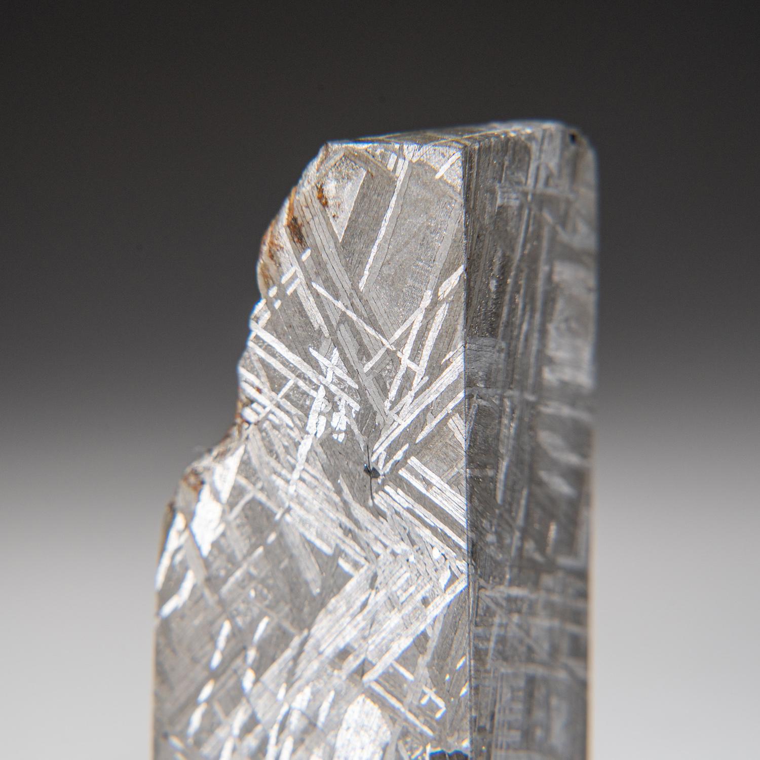 Swedish Genuine Muonionalusta Meteorite Slice (142.9 grams) For Sale