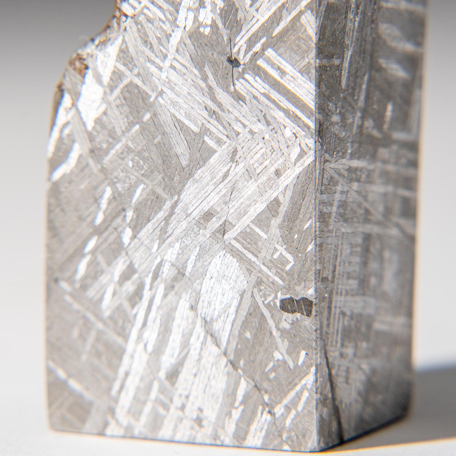 Genuine Muonionalusta Meteorite Slice (142.9 grams) In New Condition For Sale In New York, NY