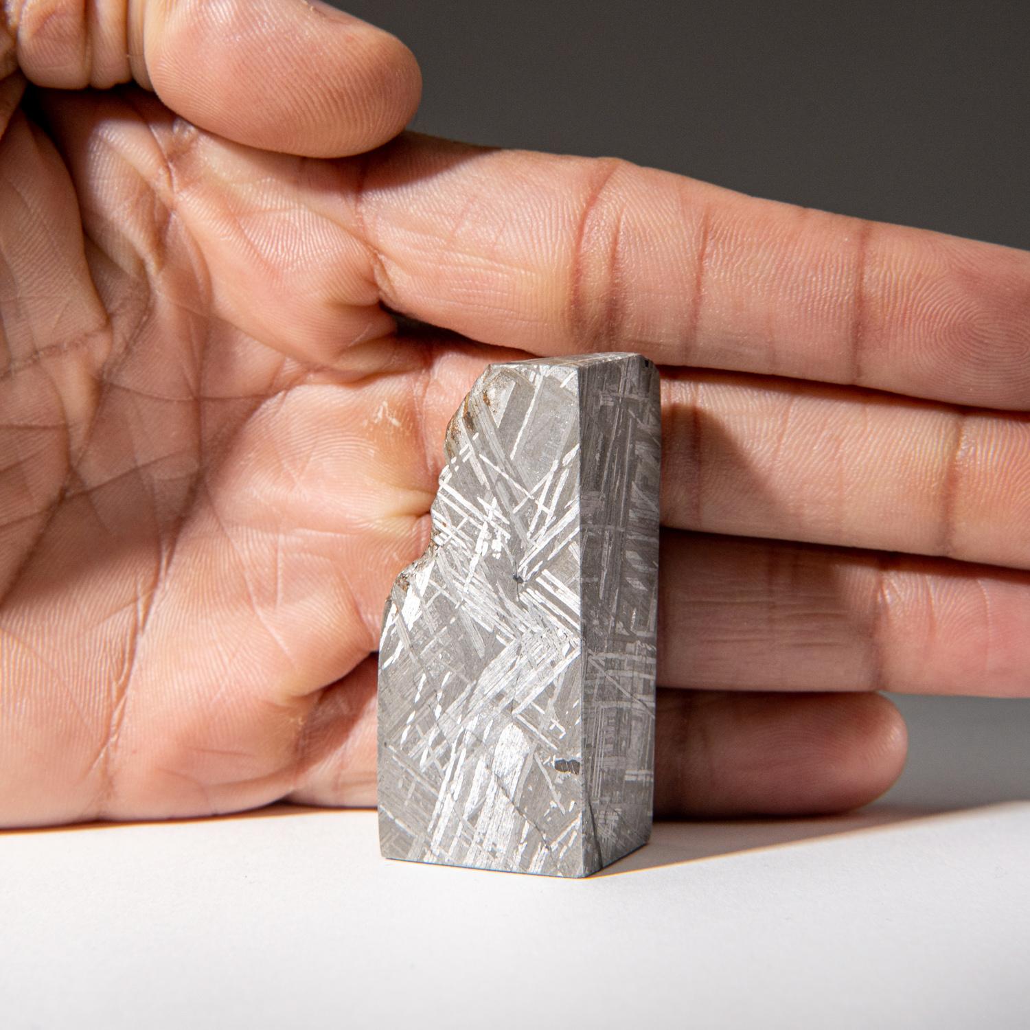 Contemporary Genuine Muonionalusta Meteorite Slice (142.9 grams) For Sale