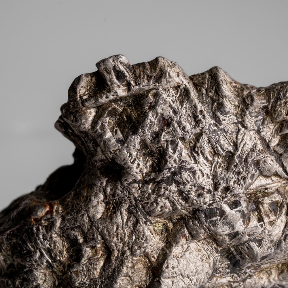 Une tranche de météorite véritable de Muonusta (2.4 lbs) Neuf - En vente à New York, NY