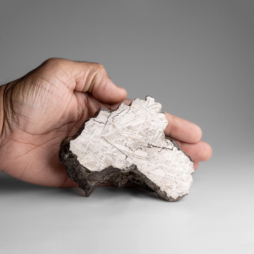 Une tranche de météorite véritable de Muonusta (2.4 lbs) en vente 1