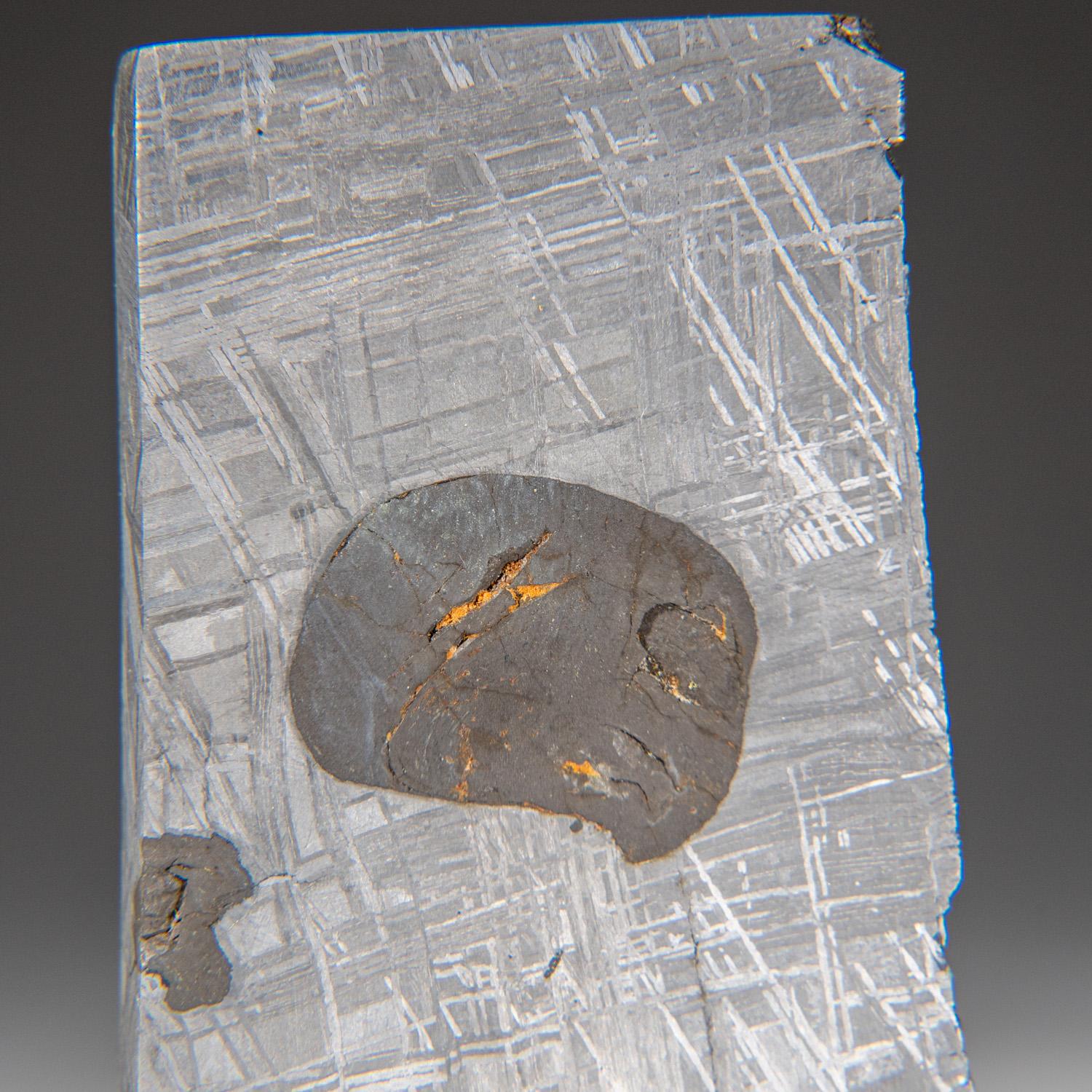 Genuine Muonionalusta Meteorite Slice from Norrbotten, Sweden.

The Muonionalusta is a meteorite classified as fine octahedrite, type IVA (Of) which impacted in northern Scandinavia, west of the border between Sweden and Finland, about one million