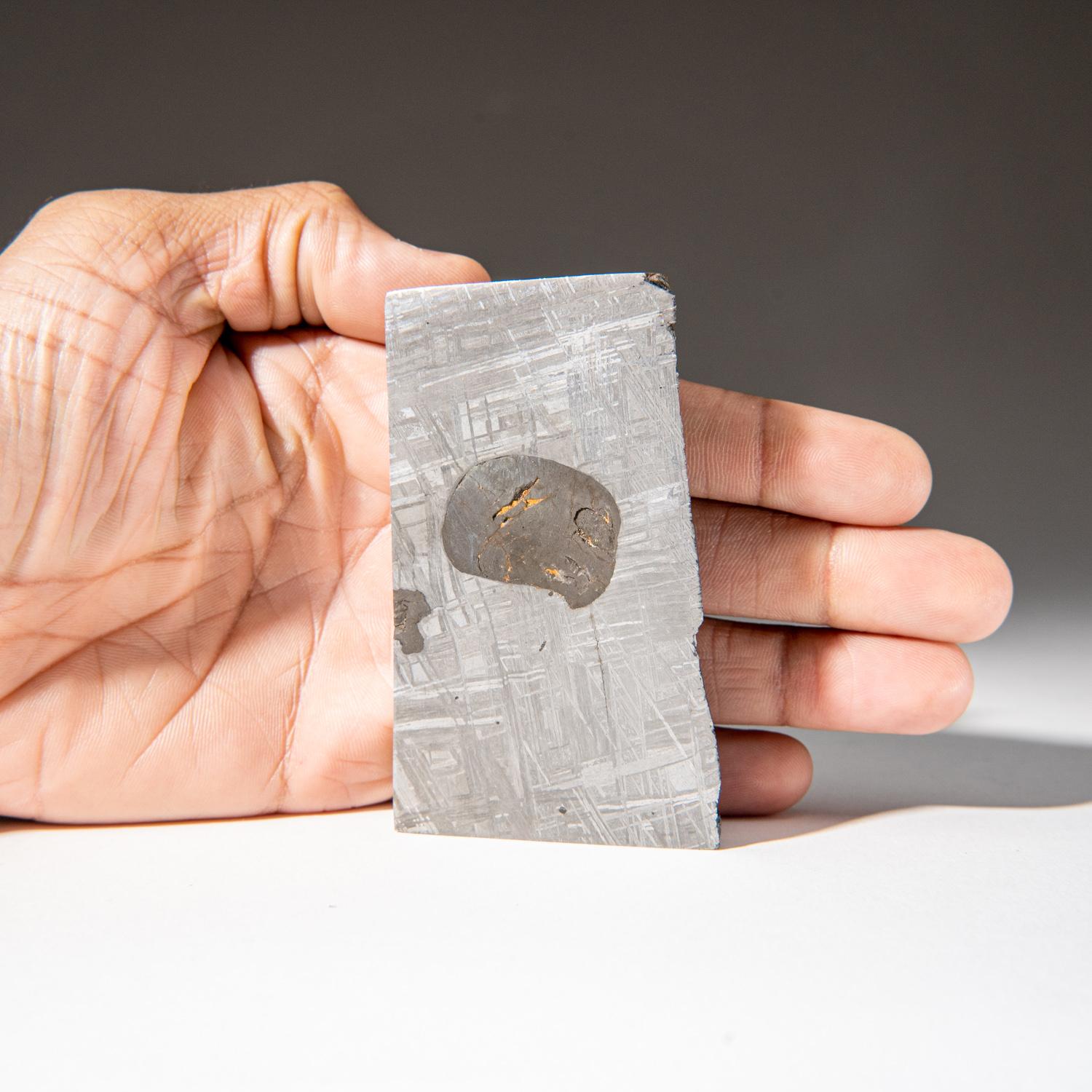 Swedish Genuine Muonionalusta Meteorite Slice (303.7 grams) For Sale