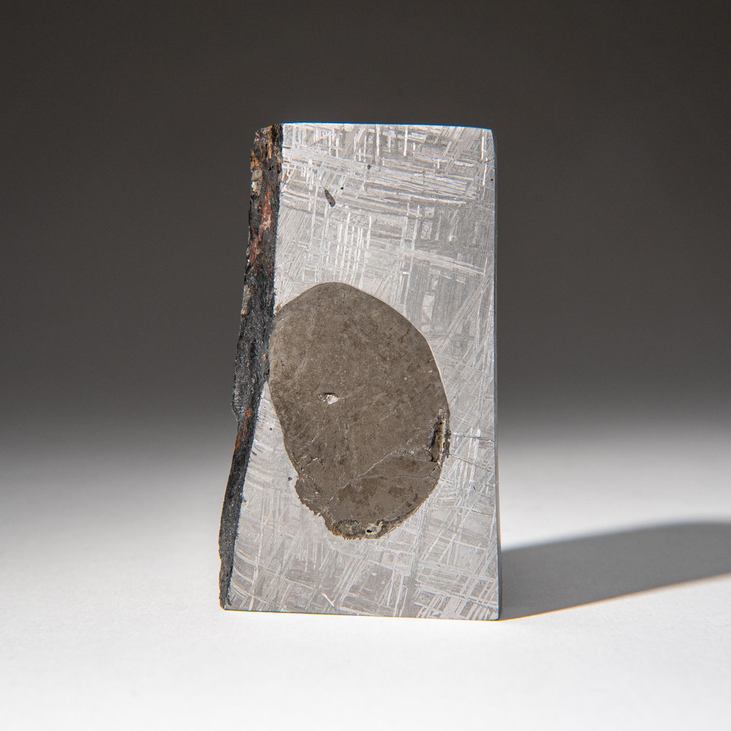 Genuine Muonionalusta Meteorite Slice (303.7 grams) In New Condition For Sale In New York, NY