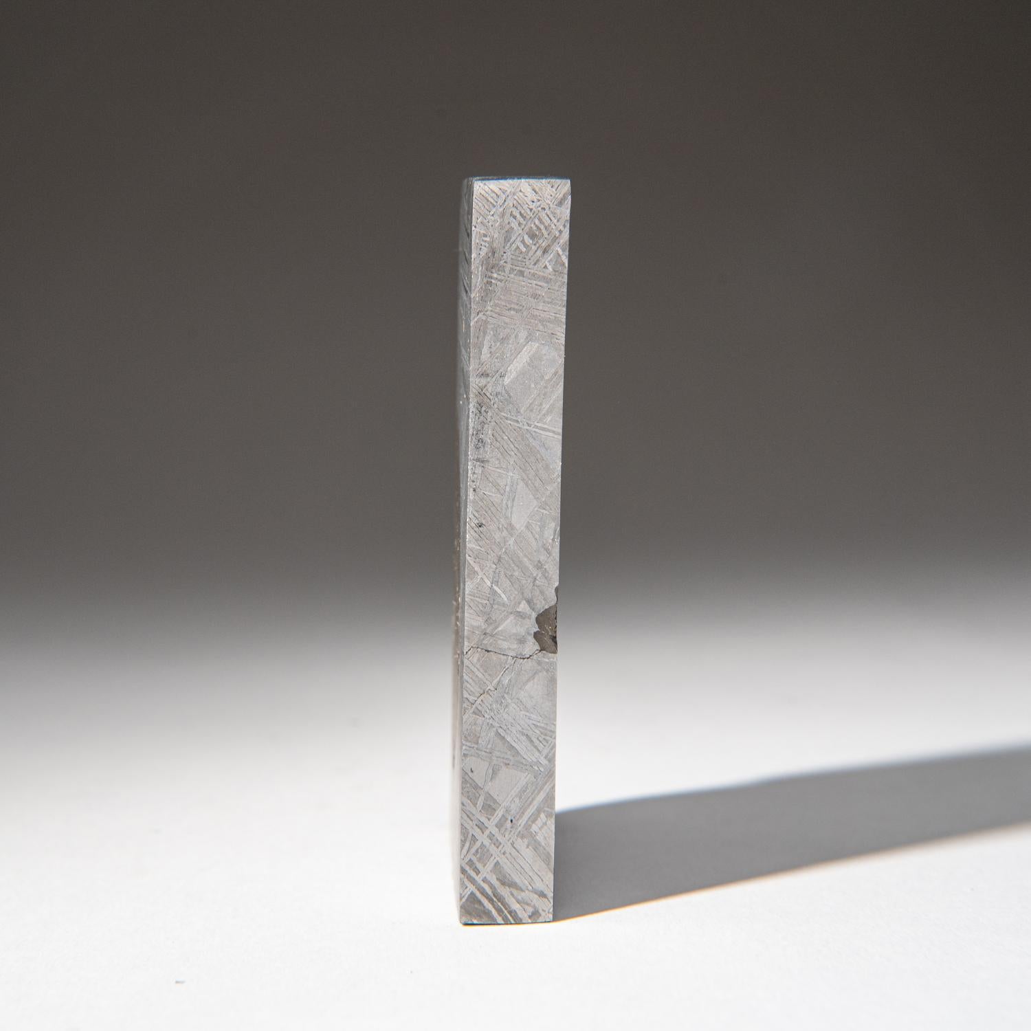 Contemporary Genuine Muonionalusta Meteorite Slice (303.7 grams) For Sale