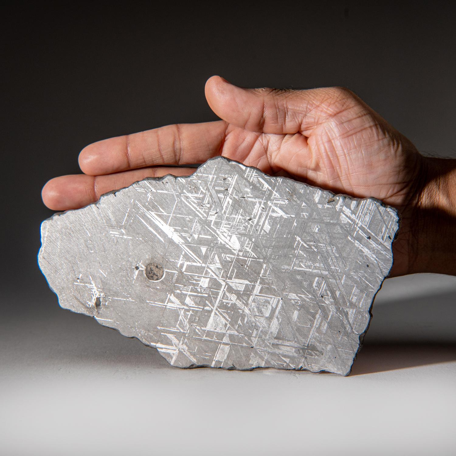 Swedish Genuine Muonionalusta Meteorite Slice (385 grams) For Sale