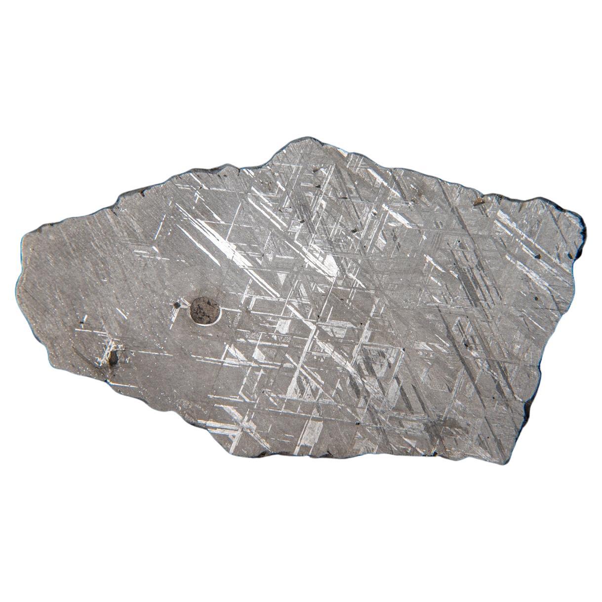 Genuine Muonionalusta Meteorite Slice (385 grams) For Sale