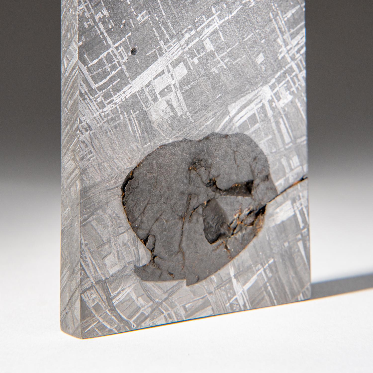 Genuine Muonionalusta Meteorite Slice (450 grams) In New Condition For Sale In New York, NY