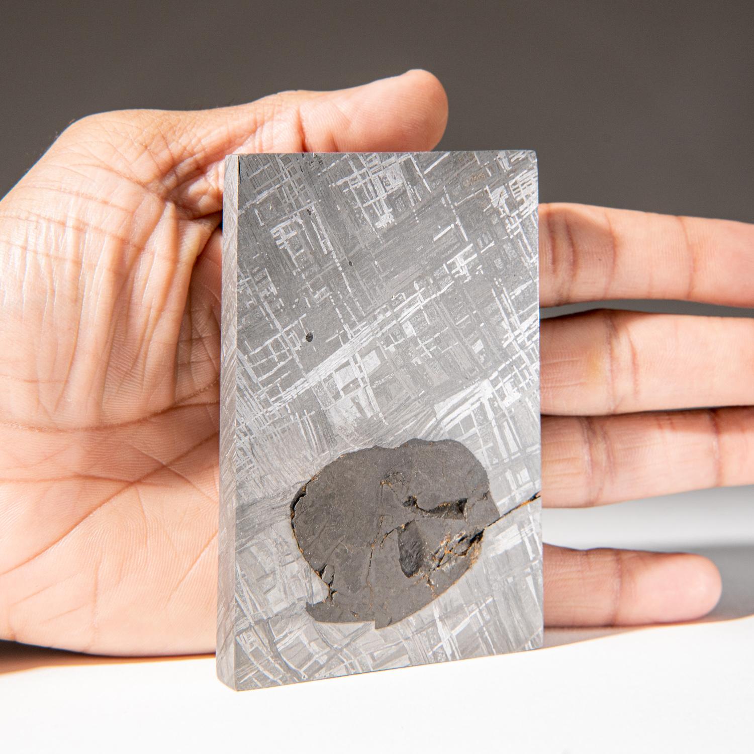 Rock Crystal Genuine Muonionalusta Meteorite Slice (450 grams) For Sale