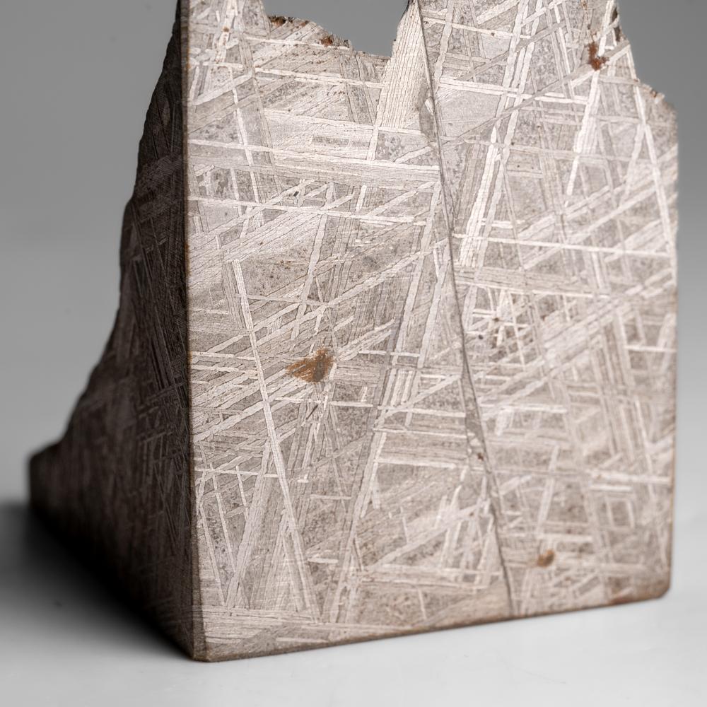 Muonionalusta Meteorit-Slice (453.6 Gramm) (Schwedisch) im Angebot